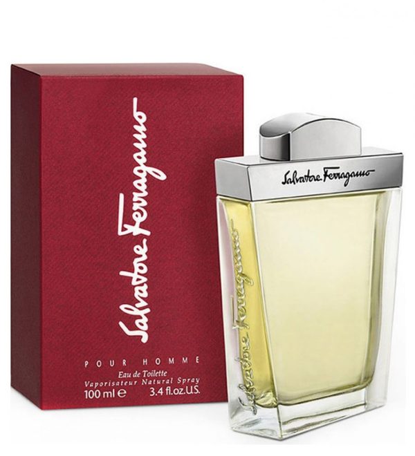 Salvatore Ferragamo pour Homme 100ml